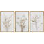 Minimal Botanical «Neutral Wildflowers Floral Art, Simple Organic Modern Wall Images, Large Encadré, Impression Giclée sur Toile, 3 pièces, ensemble de 16 x 24 x 3, 24 x 36 x 3-91874868-91874865
