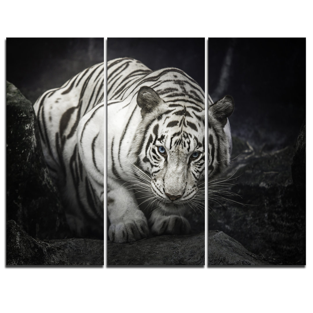 3 - Pieces Design Art