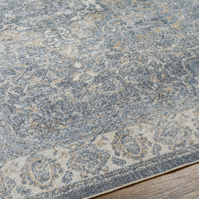 Bejou Oriental Indoor Rug