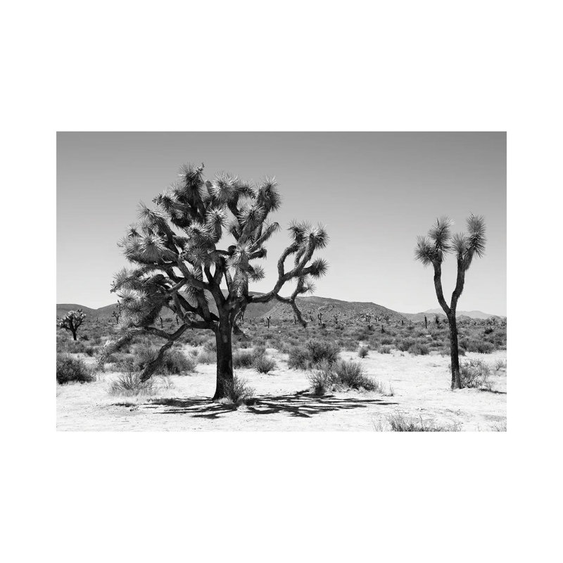 Yucca Joshua Tree 1 Piece Wrapped Canvas Wall Art, 66.04 cm H x 45.72 cm W x 1.91 cm D