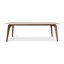 Modern Brazilian Glass Dining Table-657226319