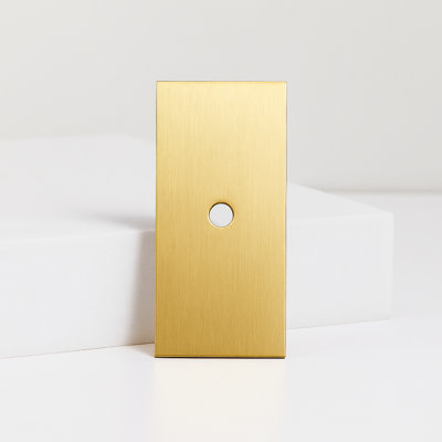 2.25" Modern Brass Rectangular Backplate