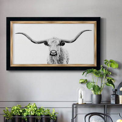 " Longhorn Gaze "