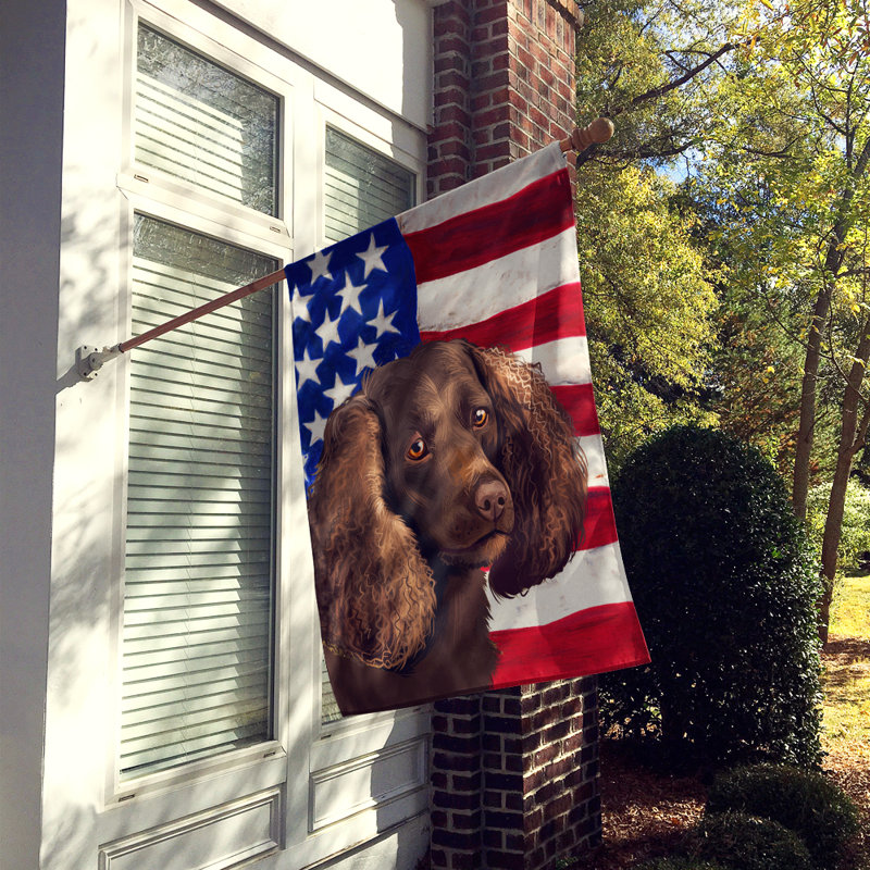 Polyester à 2 côtés 28 x 40 po drapeau maison, Épagneul d'eau américain