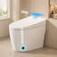 Toilette intelligente une pièce avec bidet intégré, siège à fermeture automatique, sécheuse et eau chaude