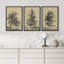 «Arbres solitaires dessin détaillé botanique nature paysage rétro classique rustique Art décontracté» 3 pièces-98695740-98695739