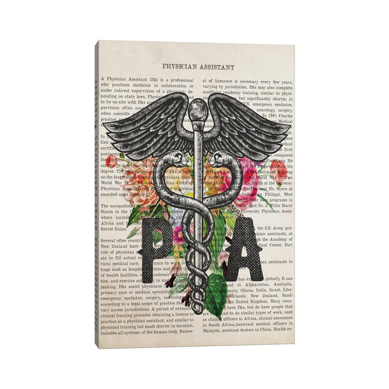 PA, Physician Assistant with Flowers by Aged Pixel - Wrapped Canvas Drawing, 30.48 cm H x 45.72 cm W x 1.91 cm D