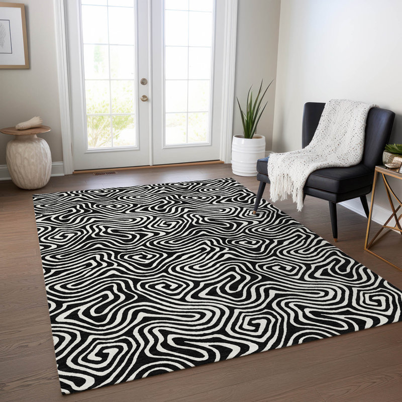 Tapis noir lavable intérieur / extérieur Raya , 8' x 10'