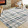 Machine Washable Rug Gingham Non-Slip Modern Rug for Living Room Bedroom Nursery Dining Table Stylish Carpet for Dorm and Bedside Decor