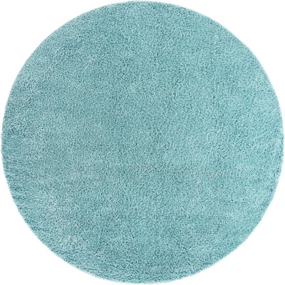 Oriental Indoor Rug