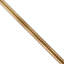 Secondaires 	 Stem-12600021