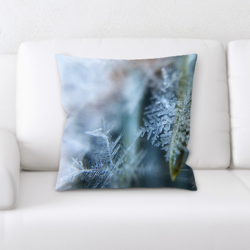 Coussin de dégivrage