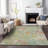 Machine Washable Indoor/Outdoor Brathwaite ACN2166 Abstract Rug-645620005