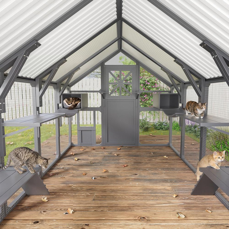 Outdoor Cat Enclosure