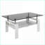 Table basse grise rectangulaire en verre trempé pour le salon - facile à nettoyer, rangement en panneau de fibres à densité moyenne, pieds en fer-771074598-771074594