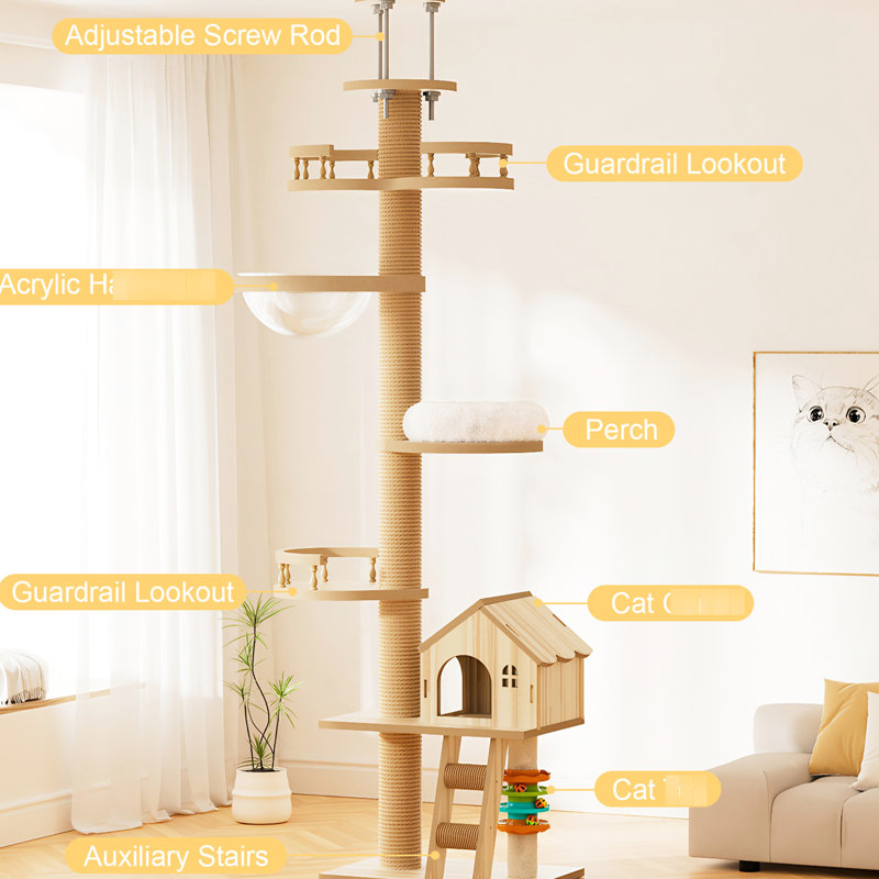 Arbre à chat Modern Modern