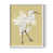 White Single Picture Framed is out of stock