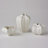Star Fruit Vase-11372811