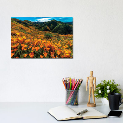 Super Bloom Of California Poppies In Walker Canyon, California, USA - Wrapped Canvas Print