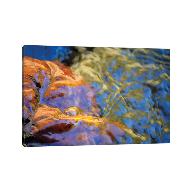 Venus 1 Piece Wrapped Canvas Wall Art, 20.32 cm H x 30.48 cm W