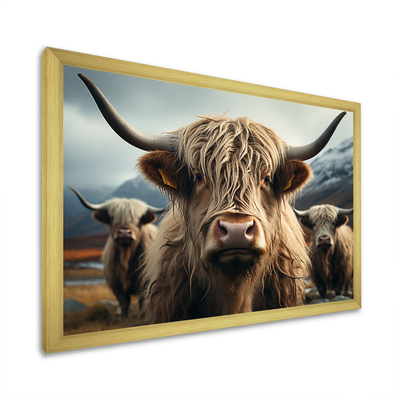 Majestic Highlands Yaks sur toile, Cadre doré simple, H 12 po x l 20 po x P 1 po