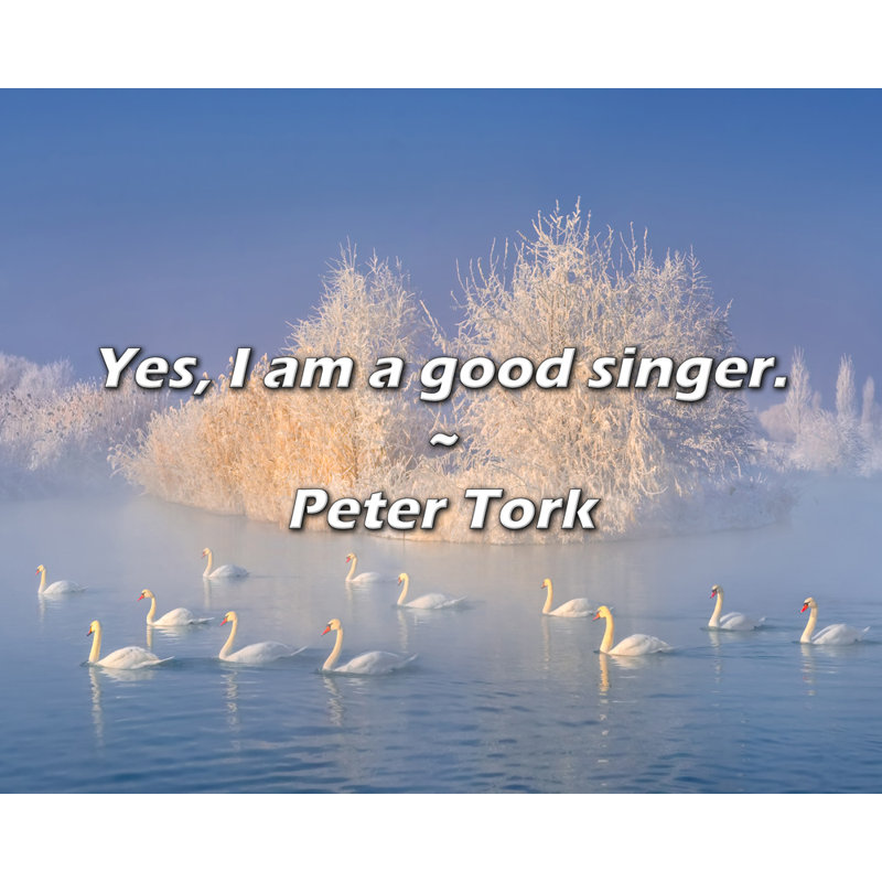 Artsy Quote "Yes, I am a good singer." By Peter Tork Gallery Wrapped Canvas, 28" H x 40" W