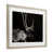 Harvest Pine Frame