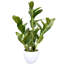 Plante grasse artificielle 22,5 po en pot
