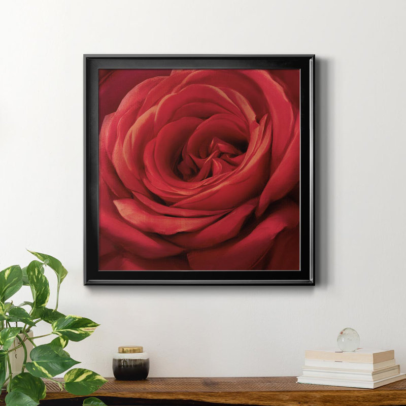 Solo Solo - photographie sur toile encadrée, H 30,5 po x l 30,5 po x P 1,5 po, Noir