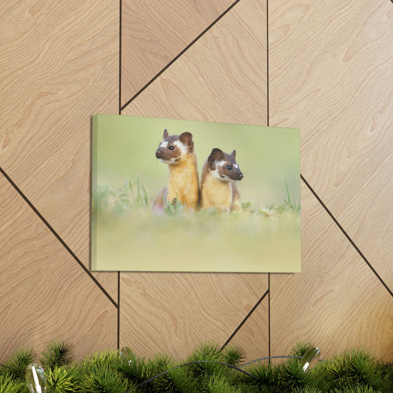 No Frame Print on Canvas, 27.94cm H x 35.56cm W