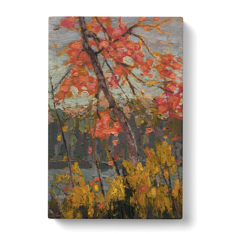 Twisted Maple by Tom Thomson - Wrapped Canvas, 50cm H x 35cm W x 3cm D