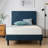 Wayfair Sleep 8" Plush Cooling Gel Memory Foam Mattress