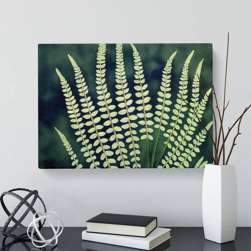 Beguiling Fern Leaf - Wrapped Canvas, 40cm H x 60cm W x 3cm D