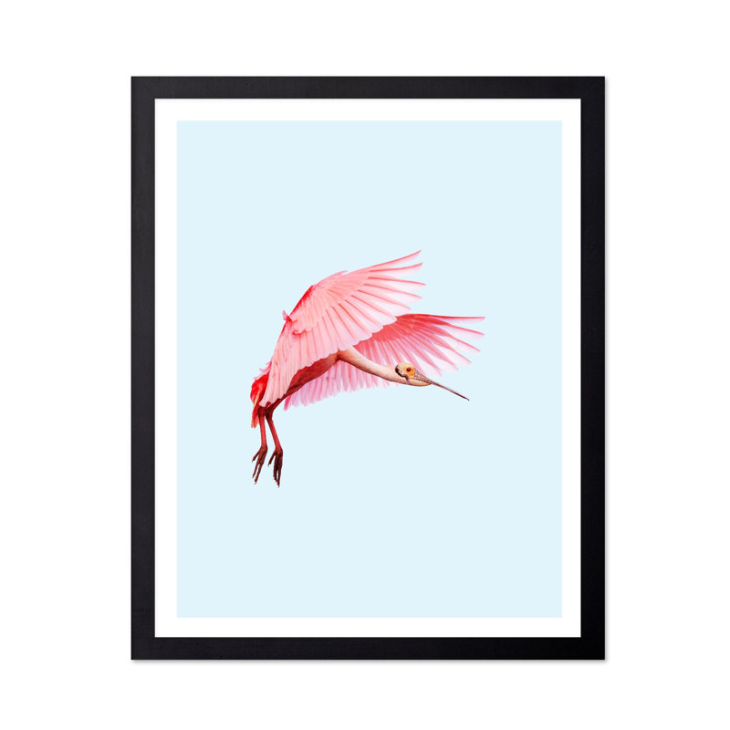 Flamant rose n ° 2, H 24 po x l 32 po, Affiche, Sans cadre
