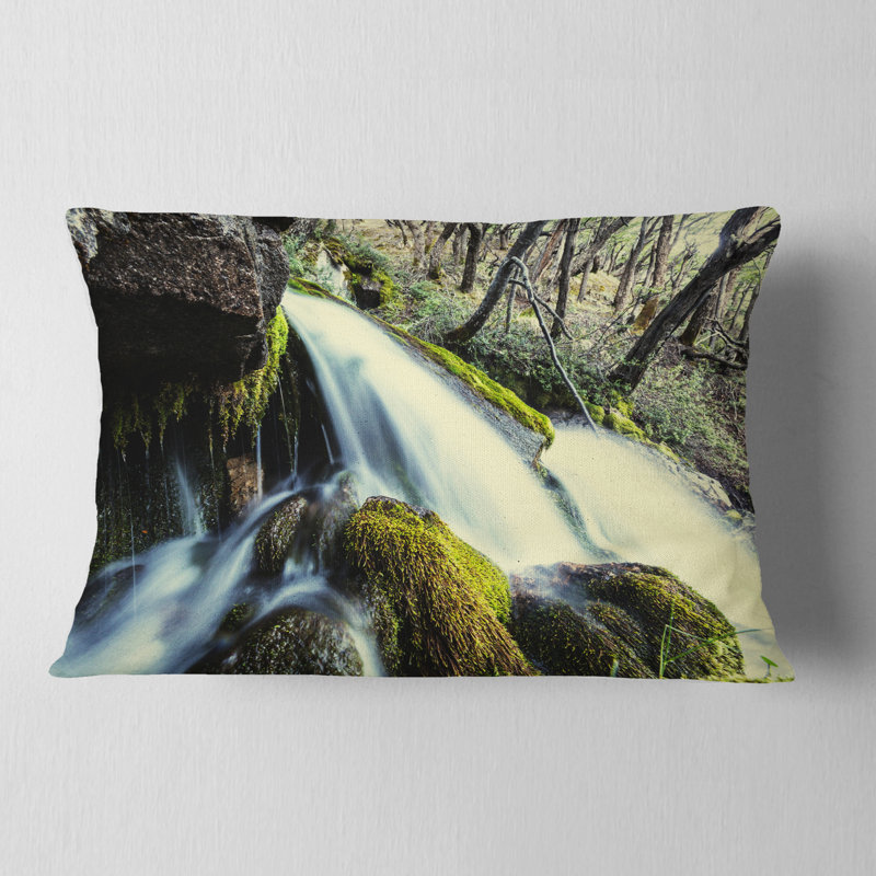 Coussin lombaire en mer dans une forêt sur des roches