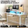 60inch Electric Standing Desk With Height Adjustable Gaming Desk,power Outlets, Led Lights, Keyboard Tray, And Monitor Shelf,for Home Office