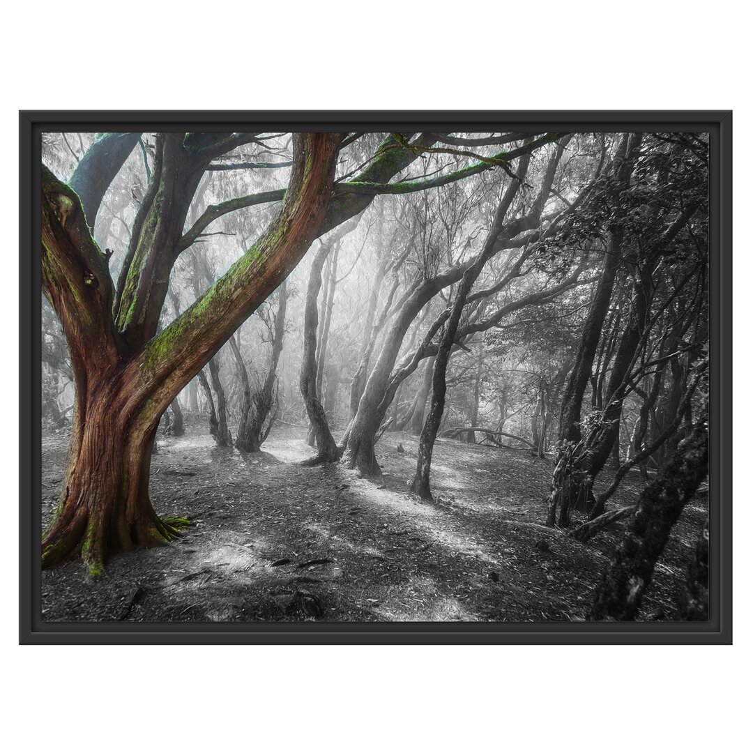 Gerahmtes Wandbild einsamer Baum in tristem Grau