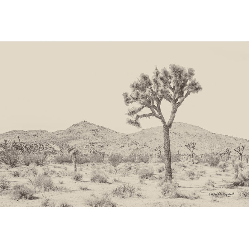 «Joshua Tree I Neutral» par Elizabeth Urquhart, reproduction de dessin à la machine, H 8 po x l 12 po, Oui, Cadre simple noir