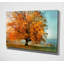 "Autumn's Passion" par Irene Weisz, reproduction de photo sur toile tendue-1284717880