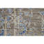 Oriental Area Rug in Gray