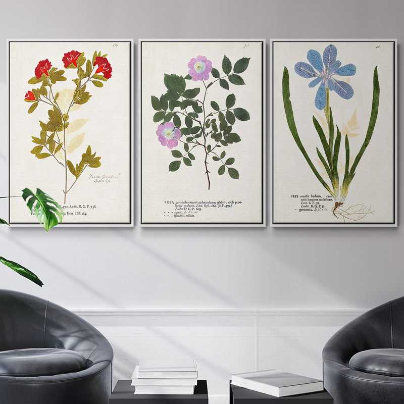 Nature imprimé Botanicals V - ensemble de 3 reproductions sur toile, Blanc, H 27 po x l 54 po