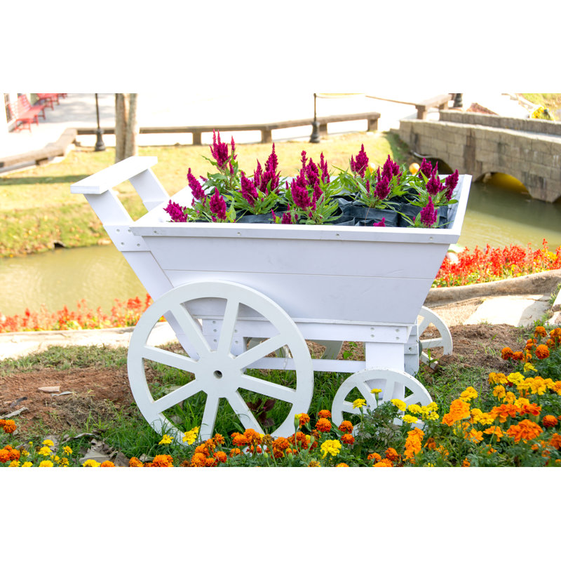 White Wood Cart by Myibean - Wrapped Canvas Print, 51cm H x 76cm W