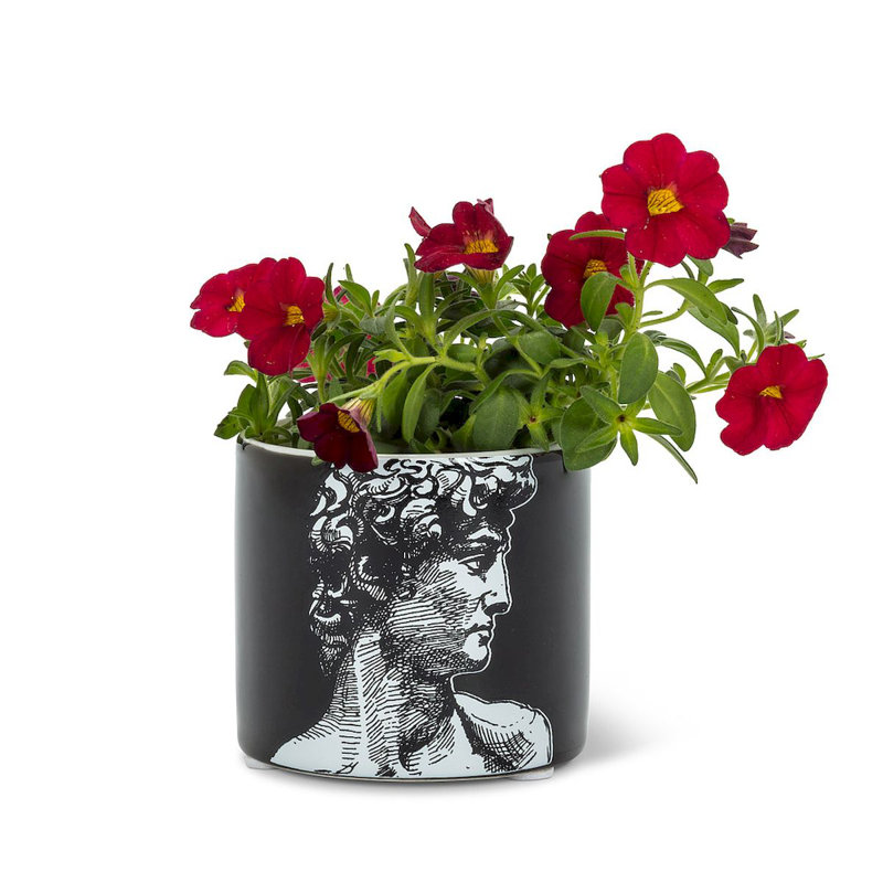 Pot à fleurs en céramique Aashka, H 2,5 po x l 2,5 po x P 2,5 po