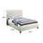 Wightman Upholstered Sleigh Bed-31176299-31176302