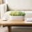 Indoor Ceramic Flower Pot Planter-1292763944