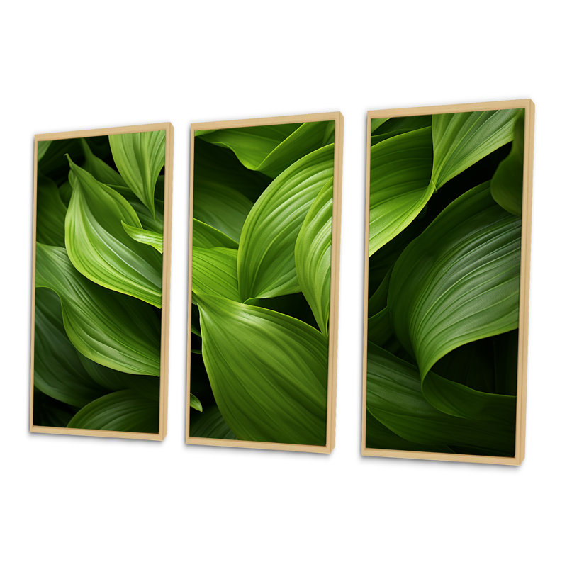 Ensemble de décoration murale Greenerys Gaze I - Plantes, H 28 po x l 36 po x P 1 po, Cadre naturel flottant