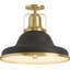 Hauksbee Semi-Flush Light-1345902581