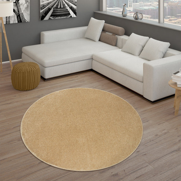 Aculina Area Rug