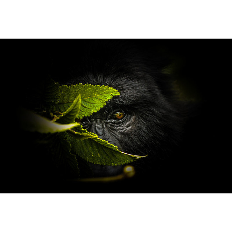 Wrapped Canvas Print, 60.96 cm H x 91.44 cm W