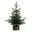 White 3' Pre-Lit Pine Christmas Tree